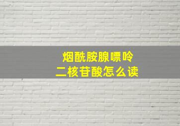 烟酰胺腺嘌呤二核苷酸怎么读