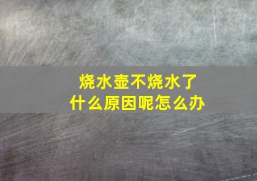 烧水壶不烧水了什么原因呢怎么办