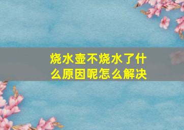 烧水壶不烧水了什么原因呢怎么解决