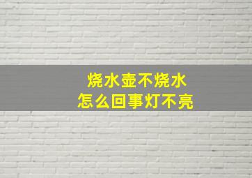 烧水壶不烧水怎么回事灯不亮