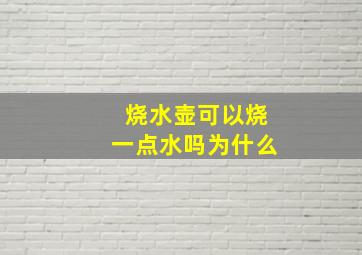 烧水壶可以烧一点水吗为什么