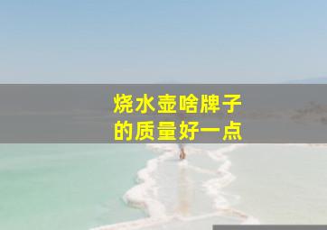 烧水壶啥牌子的质量好一点