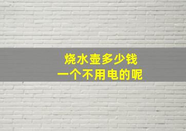 烧水壶多少钱一个不用电的呢