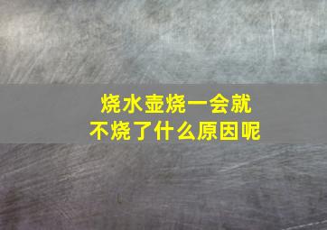 烧水壶烧一会就不烧了什么原因呢