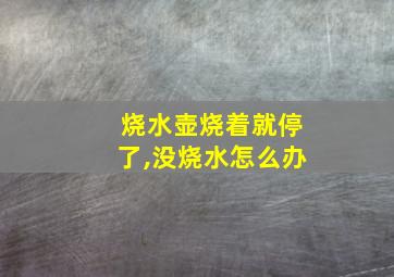 烧水壶烧着就停了,没烧水怎么办