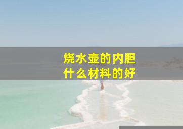 烧水壶的内胆什么材料的好