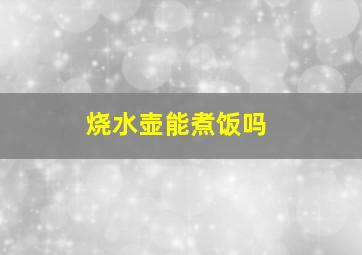 烧水壶能煮饭吗