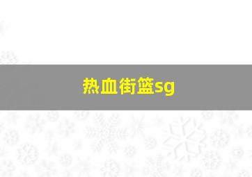 热血街篮sg