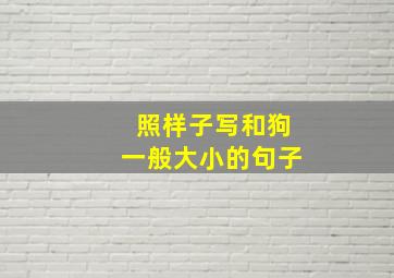 照样子写和狗一般大小的句子