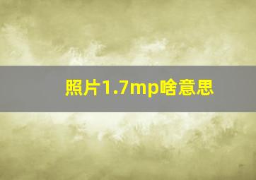 照片1.7mp啥意思