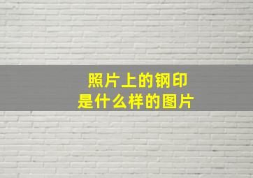 照片上的钢印是什么样的图片