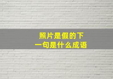 照片是假的下一句是什么成语