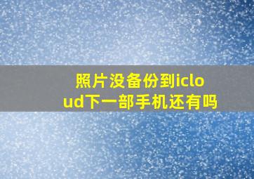 照片没备份到icloud下一部手机还有吗