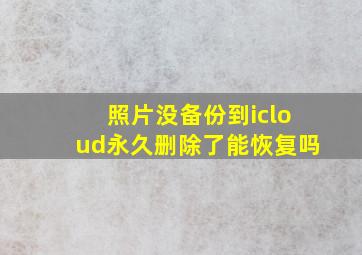 照片没备份到icloud永久删除了能恢复吗