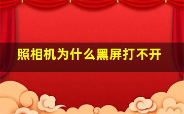 照相机为什么黑屏打不开