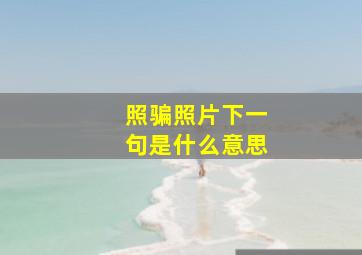 照骗照片下一句是什么意思