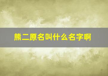 熊二原名叫什么名字啊