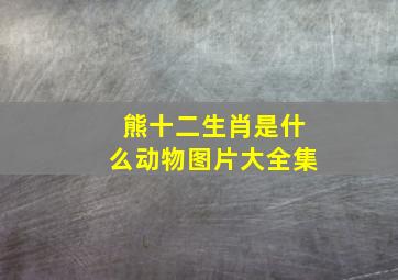 熊十二生肖是什么动物图片大全集