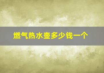 燃气热水壶多少钱一个