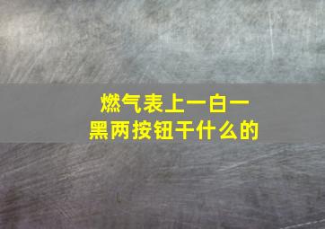 燃气表上一白一黑两按钮干什么的