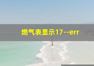 燃气表显示17--err