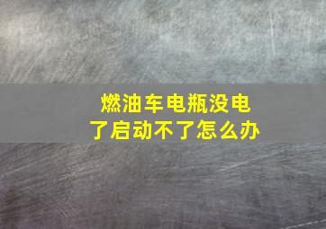 燃油车电瓶没电了启动不了怎么办