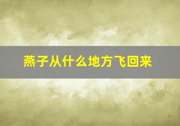 燕子从什么地方飞回来