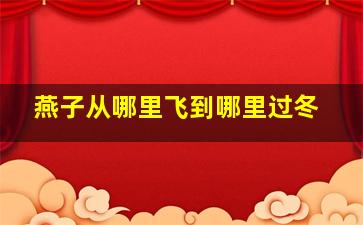 燕子从哪里飞到哪里过冬