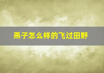 燕子怎么样的飞过田野