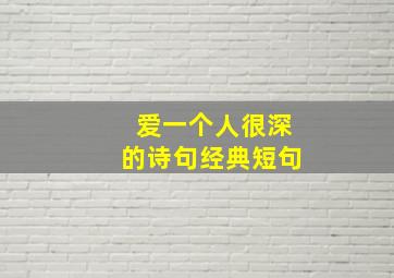 爱一个人很深的诗句经典短句