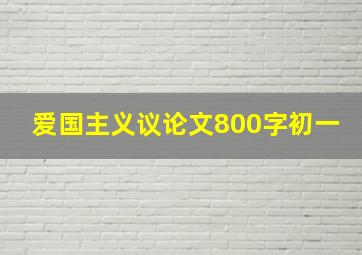 爱国主义议论文800字初一