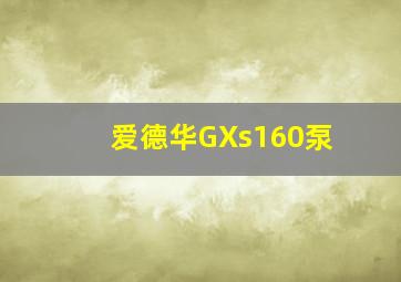 爱德华GXs160泵