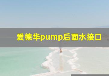 爱德华pump后面水接口