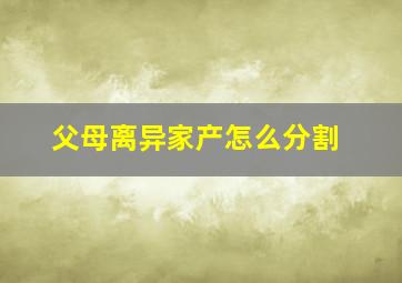 父母离异家产怎么分割