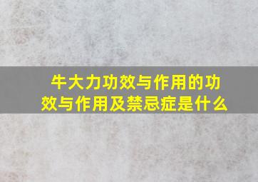 牛大力功效与作用的功效与作用及禁忌症是什么