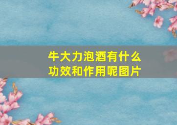 牛大力泡酒有什么功效和作用呢图片