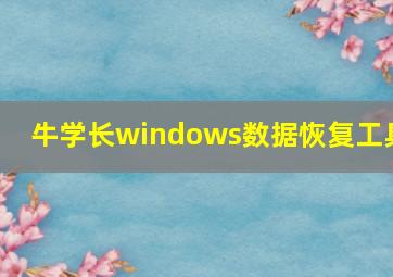 牛学长windows数据恢复工具