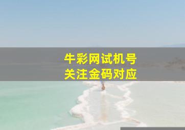 牛彩网试机号关注金码对应