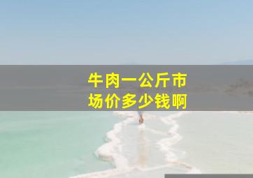 牛肉一公斤市场价多少钱啊