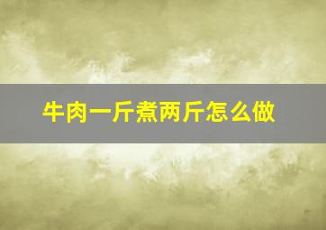 牛肉一斤煮两斤怎么做