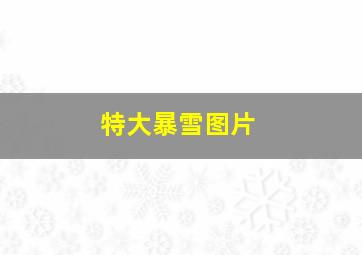 特大暴雪图片