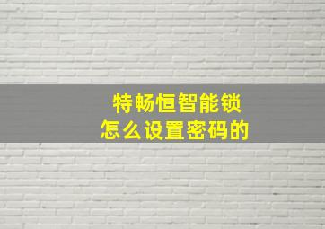 特畅恒智能锁怎么设置密码的