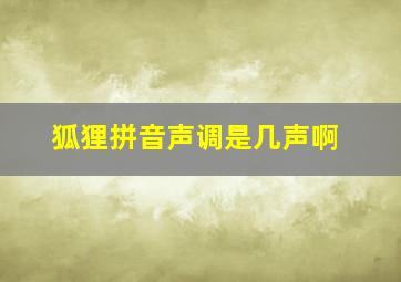 狐狸拼音声调是几声啊