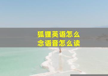 狐狸英语怎么念语音怎么读