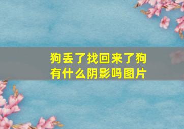 狗丢了找回来了狗有什么阴影吗图片