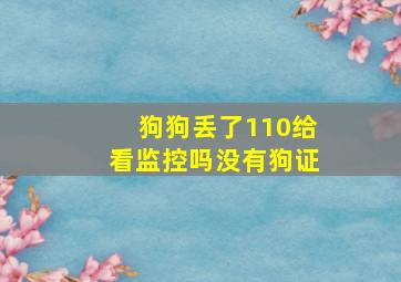 狗狗丢了110给看监控吗没有狗证