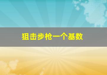 狙击步枪一个基数