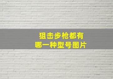 狙击步枪都有哪一种型号图片