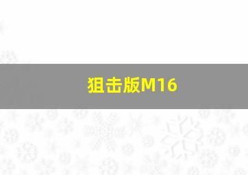 狙击版M16