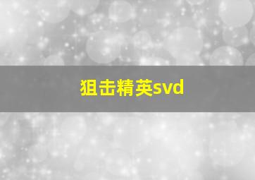 狙击精英svd